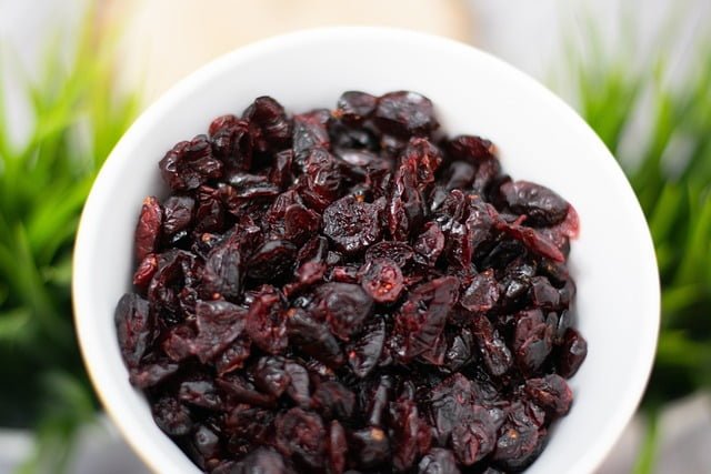 Can Rats Eat Dried Cranberries
