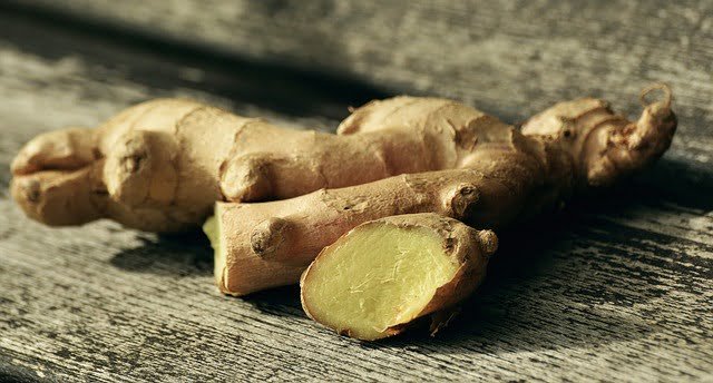 Can Guinea Pigs Eat Ginger