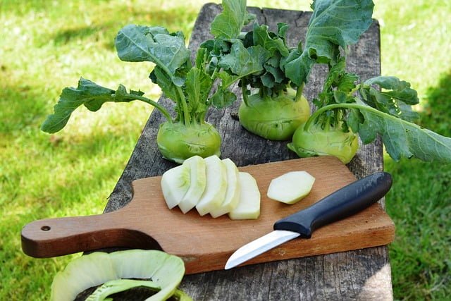 Can Guinea Pigs Eat Kohlrabi