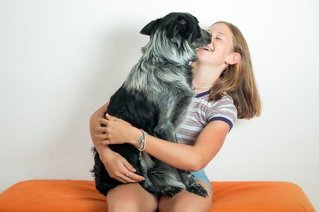 Dog Photography Game