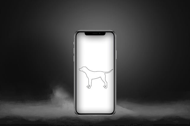Best Apps for Pet Owners in 2023
