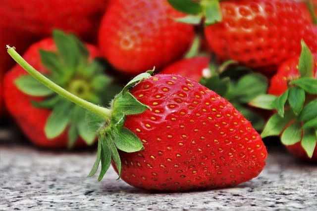 Can Russian Tortoises Eat Strawberries
