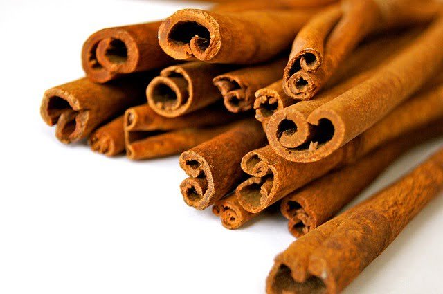 Can Rats Eat Cinnamon