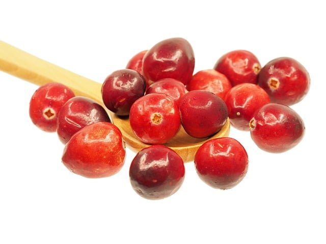 Can Rats Eat Cranberries
