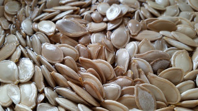 Can Rats Eat Raw Pumpkin Seeds
