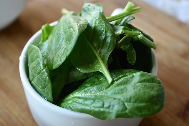 Can Rats Eat Spinach