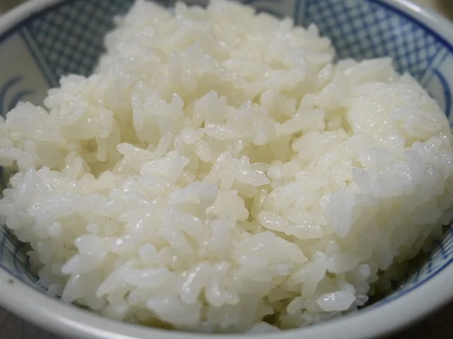 Can Rats Eat Rice