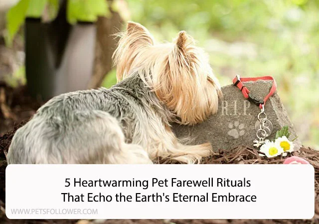 5 Heartwarming Pet Farewell Rituals That Echo the Earth's Eternal Embrace