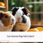 Can Guinea Pigs Eat Cuties