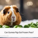 Can Guinea Pigs Eat Frozen Peas