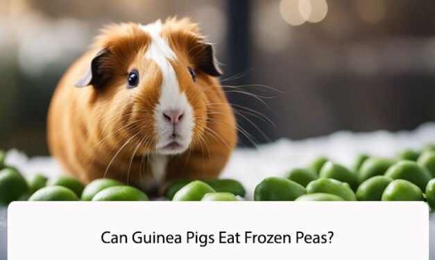 Can Guinea Pigs Eat Frozen Peas?