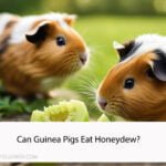 Can Guinea Pigs Eat Honeydew?
