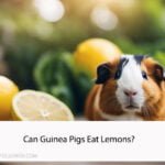 Can Guinea Pigs Eat Lemons