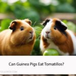 Can Guinea Pigs Eat Tomatillos