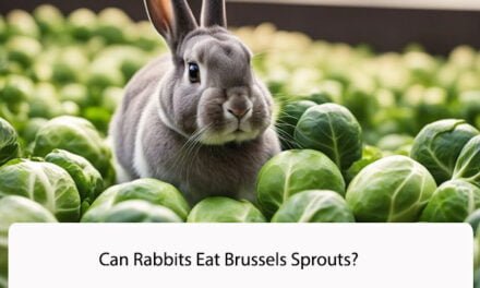 Can Rabbits Eat Brussels Sprouts?