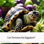 Can Tortoises Eat Eggplant