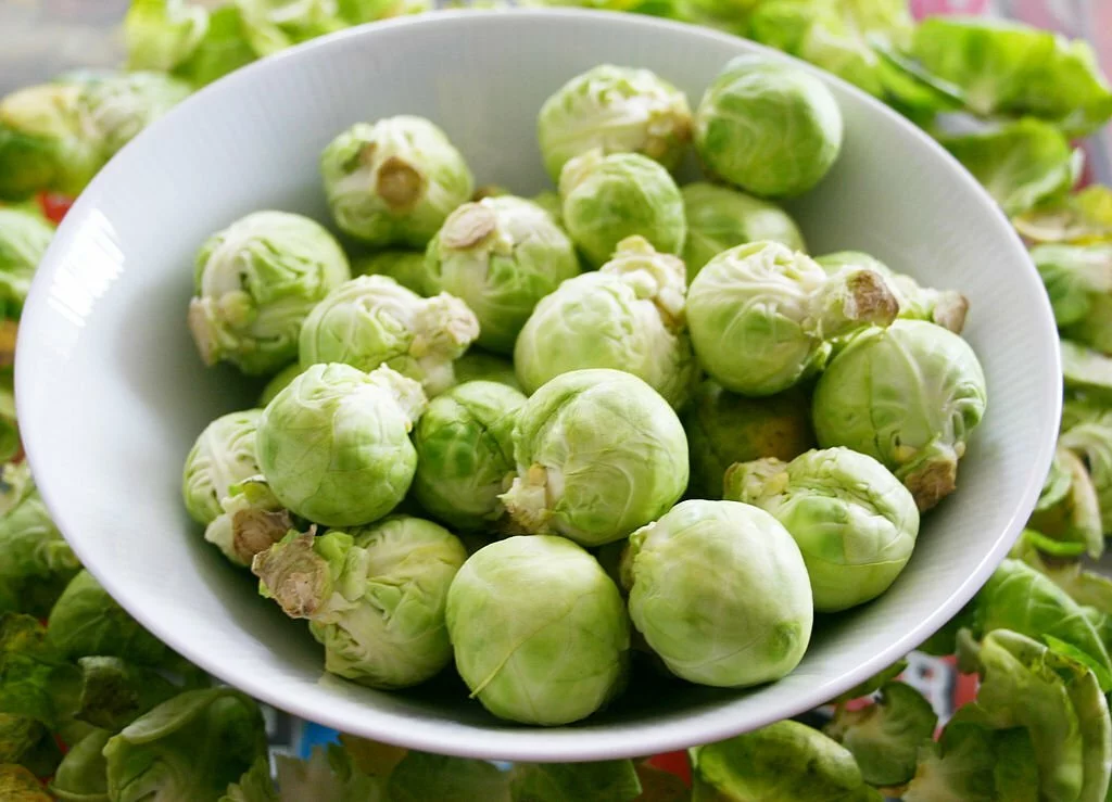 Can Sulcata Tortoises Eat Brussel Sprouts