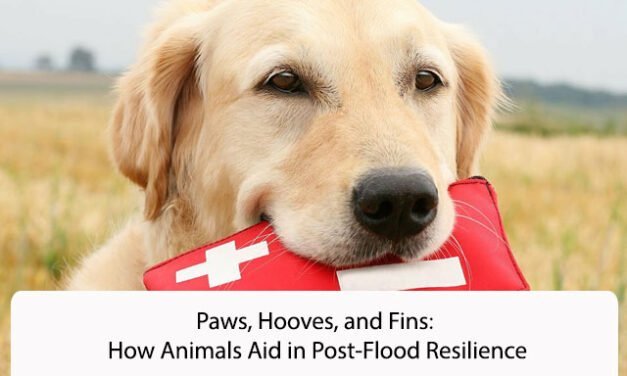Paws, Hooves, and Fins: How Animals Aid in Post-Flood Resilience