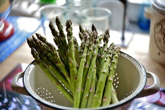 Can Tortoises Eat Asparagus