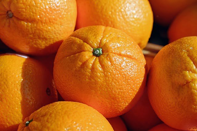 Can Geese Eat Oranges