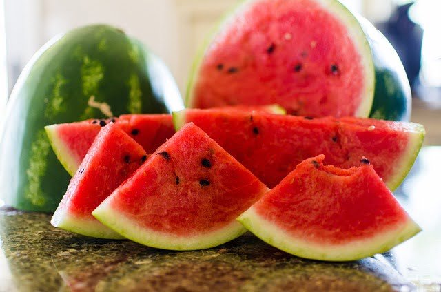 Can Russian Tortoises Eat Watermelon