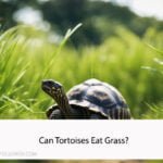 Can Tortoises Eat Grass