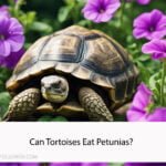 Can Tortoises Eat Petunias