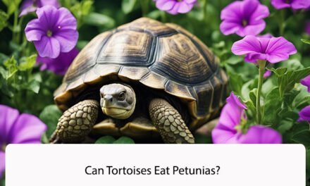 Can Tortoises Eat Petunias?