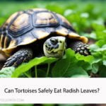 Can Tortoises Eat Radish Leaves