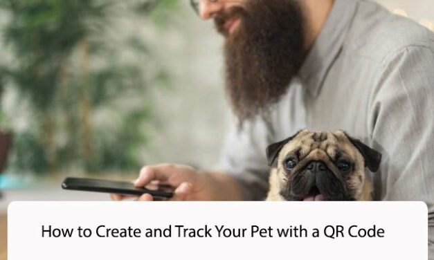 How to Create and Track Your Pet with a QR Code