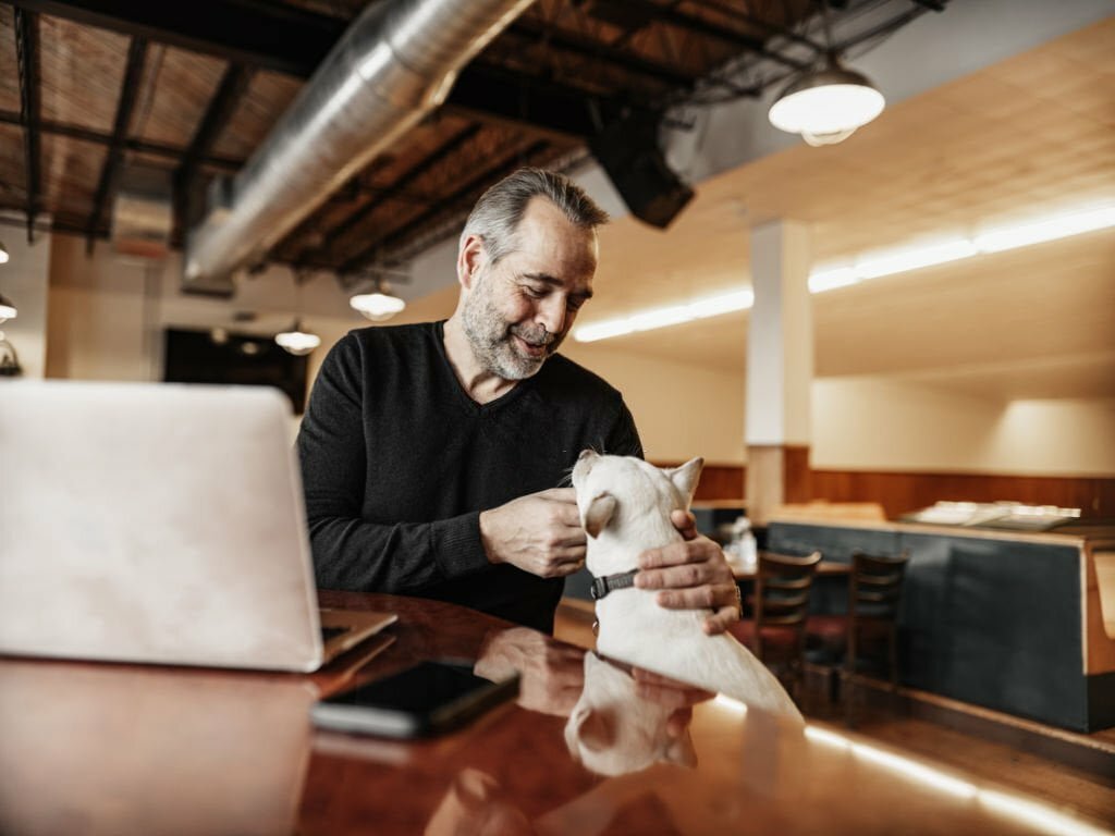 Pet-Friendly Business Districts