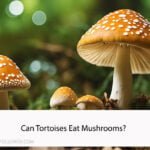 Can Tortoises Eat Mushrooms