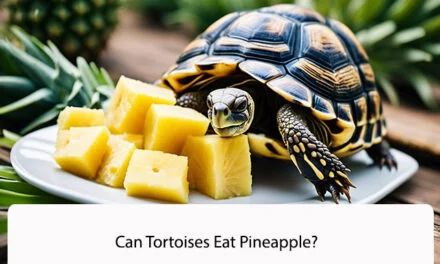 Can Tortoises Eat Pineapple?