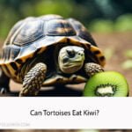 Can Tortoises Eat Kiwi