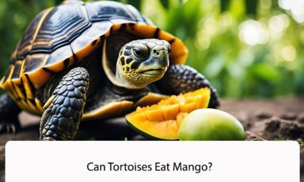 Can Tortoises Eat Mango?