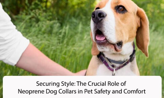 Securing Style: The Crucial Role of Neoprene Dog Collars in Pet Safety and Comfort