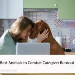 5 Best Animals to Combat Caregiver Burnout