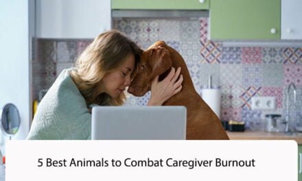 5 Best Animals to Combat Caregiver Burnout
