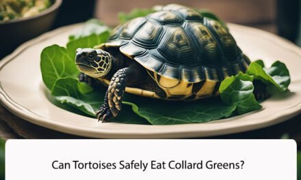 Can Tortoises Safely Eat Collard Greens?