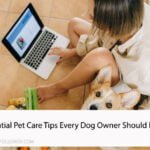 Essential Pet Care Tips Every Dog Owner Should Know