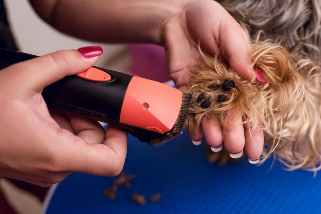 How to Groom an Old Dog