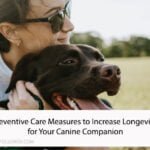 Preventive Care Measures to Increase Longevity for Your Canine Companion