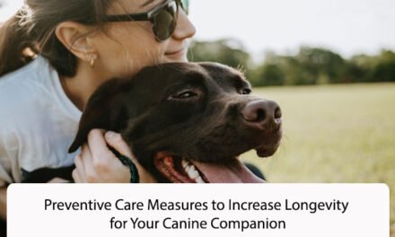 Preventive Care Measures to Increase Longevity for Your Canine Companion