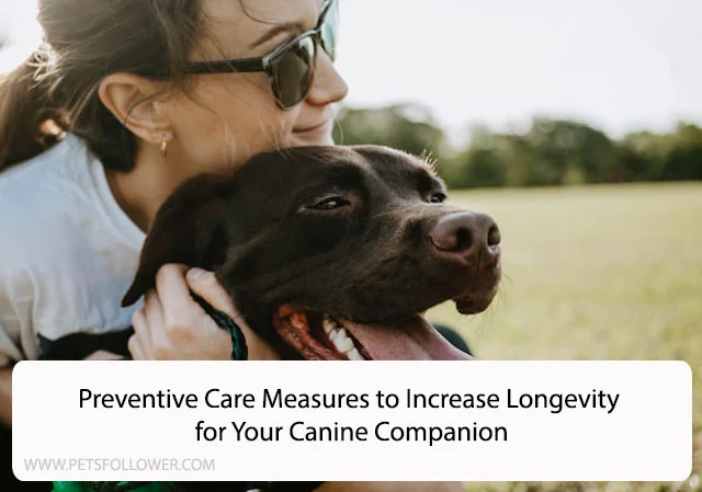 Preventive Care Measures to Increase Longevity for Your Canine Companion