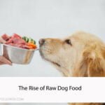 The Rise of Raw Dog Food