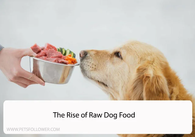 The Rise of Raw Dog Food
