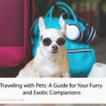 Traveling with Pets: A Guide for Your Furry and Exotic Companions