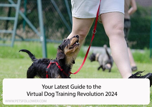 Your Latest Guide to the Virtual Dog Training Revolution 2024