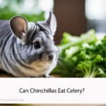 Can Chinchillas Eat Celery