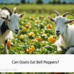 Can Goats Eat Bell Peppers